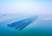 點(diǎn)海成“金”，華為助力全球最大的開放式海上光伏項(xiàng)目成功并網(wǎng)
